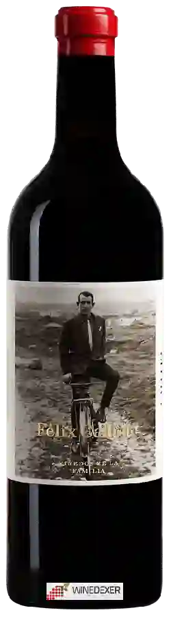Weingut Callejo - Félix Callejo (Viñedos de la Familia) Weingut Callejo - Félix Callejo (Viñedos de la Familia)