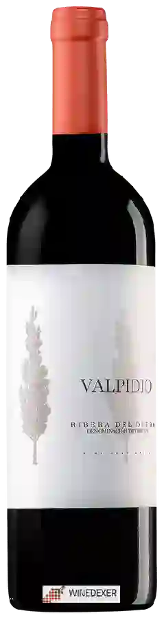 Weingut Casajus - Valpidio Tinto Weingut Casajus - Valpidio Tinto