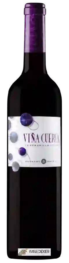 Bodegas Naranjo - Viña Cuerva Tempranillo - Syrah Bodegas Naranjo - Viña Cuerva Tempranillo - Syrah