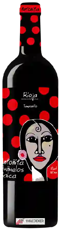 Weingut Navarrsotillo - Antoñita Tinto Weingut Navarrsotillo - Antoñita Tinto