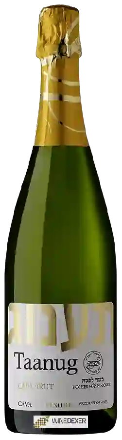 Weingut Pinord - Cava Brut Taanug Weingut Pinord - Cava Brut Taanug