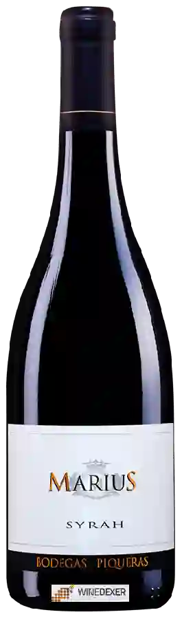Bodegas Piqueras - Marius Syrah