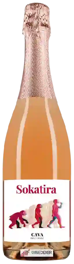 Bodegas Sokatira - Cava Brut Rosé Bodegas Sokatira - Cava Brut Rosé