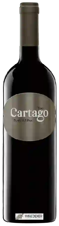 Bodegas San Román - Cartago Paraje de Pozo Toro
