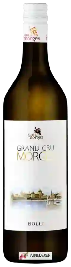 Weingut Bolle & Cie - Grand Cru Morges Weingut Bolle & Cie - Grand Cru Morges