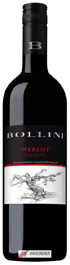 Weingut Bollini - Merlot Trentino Weingut Bollini - Merlot Trentino