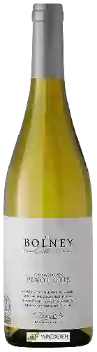 Weingut Bolney Wine Estate - Foxhole Vineyard Pinot Gris
