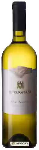 Weingut Bolognani - Chardonnay