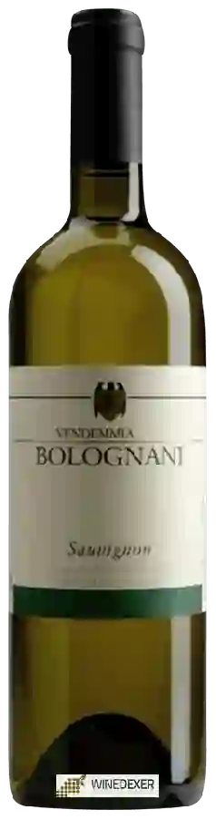 Weingut Bolognani - Sauvignon Weingut Bolognani - Sauvignon