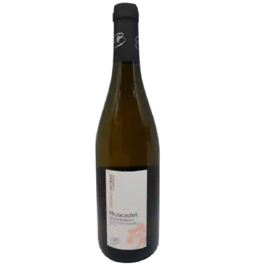 Weingut Bonnet-Huteau - Clos Saint - Charles Muscadet Sèvre et Maine Sur Lie Weingut Bonnet-Huteau - Clos Saint - Charles Muscadet Sèvre et Maine Sur Lie