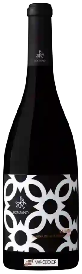 Weingut Bonzano - Gajard Barbera del Monferrato