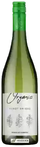Weingut Bosco dei Cirmioli - Organic Pinot Grigio