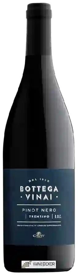 Weingut Bottega Vinai - Pinot Nero Weingut Bottega Vinai - Pinot Nero