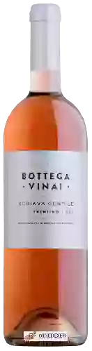 Weingut Bottega Vinai - Schiava Gentile