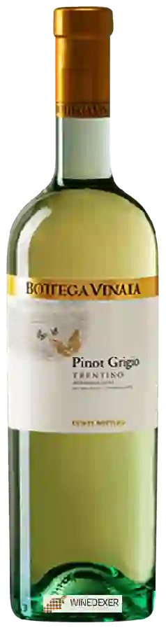 Weingut Bottega Vinaia - Pinot Grigio