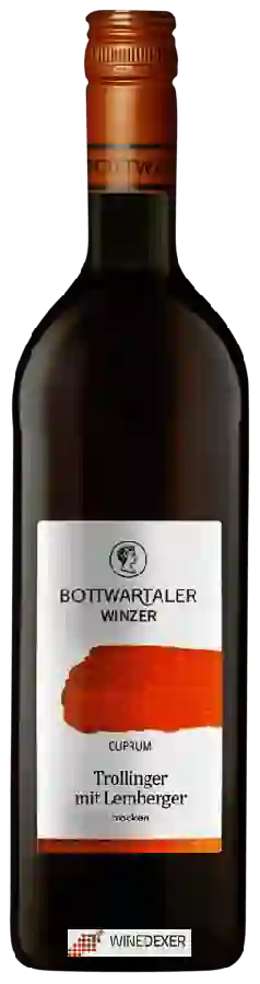 Weingut Bottwartaler - Cuprum Trollinger Mit Lemberger Weingut Bottwartaler - Cuprum Trollinger Mit Lemberger