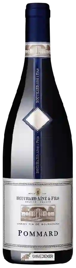 Weingut Bouchard Aîné & Fils - Pommard Weingut Bouchard Aîné & Fils - Pommard