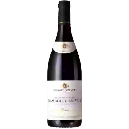 Weingut Bouchard Père & Fils - Chambolle Musigny