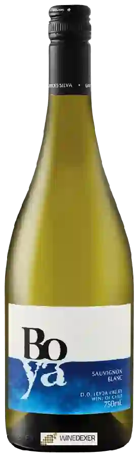 Weingut Boya - Sauvignon Blanc