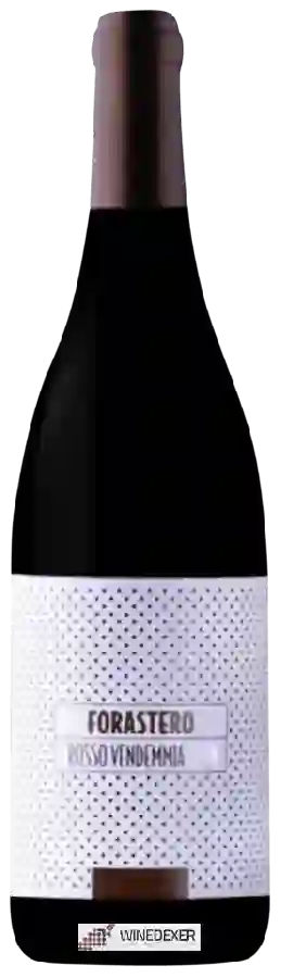 Weingut Brama - Forastero Rosso Weingut Brama - Forastero Rosso