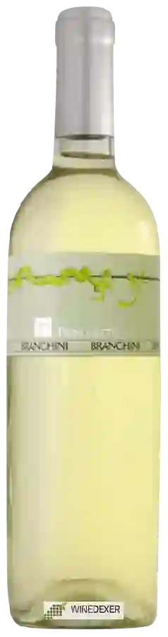 Weingut Branchini - Pignoletto Weingut Branchini - Pignoletto