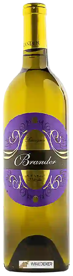 Weingut Brander - Cuvée Nicolas Sauvignon