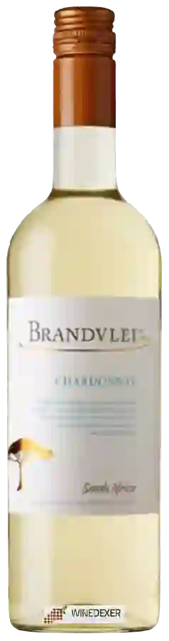 Weingut Brandvlei - Chardonnay Dry