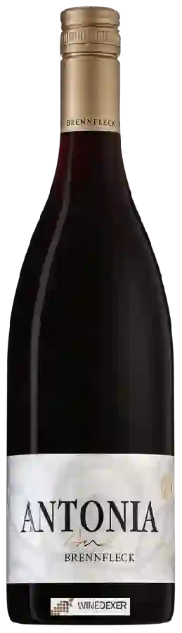 Weingut Brennfleck - Antonia Weingut Brennfleck - Antonia