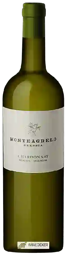 Weingut Bressia - Chardonnay Monteagrelo Weingut Bressia - Chardonnay Monteagrelo