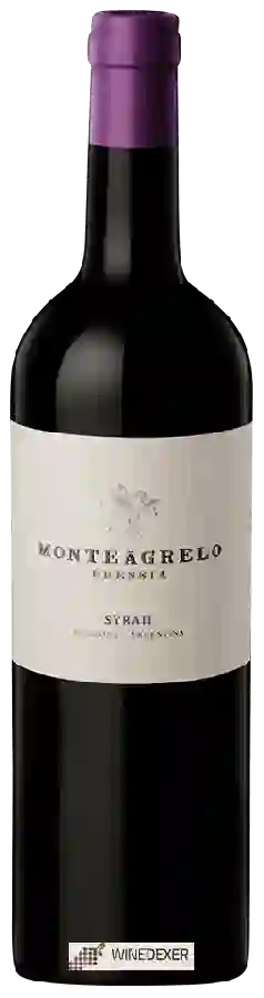 Weingut Bressia - Monteagrelo Syrah Weingut Bressia - Monteagrelo Syrah