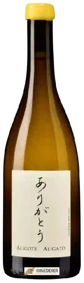 Weingut Bret Brothers & The Soufrandière - Aligote Aligato