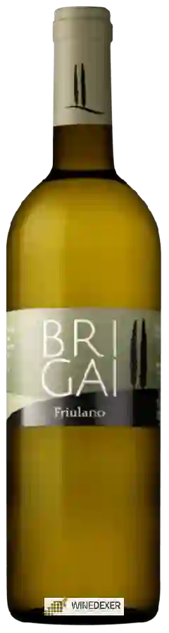 Weingut Brigai - Friulano Weingut Brigai - Friulano