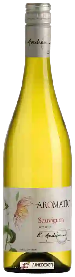Weingut Bruno Andreu - Aromatic Sauvignon Blanc Weingut Bruno Andreu - Aromatic Sauvignon Blanc