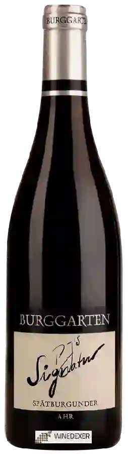 Weingut Burggarten - PJ's Signature Spätburgunder Weingut Burggarten - PJ's Signature Spätburgunder