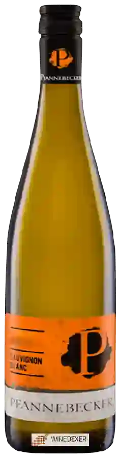 Weingut Pfannebecker - Sauvignon Blanc Weingut Pfannebecker - Sauvignon Blanc