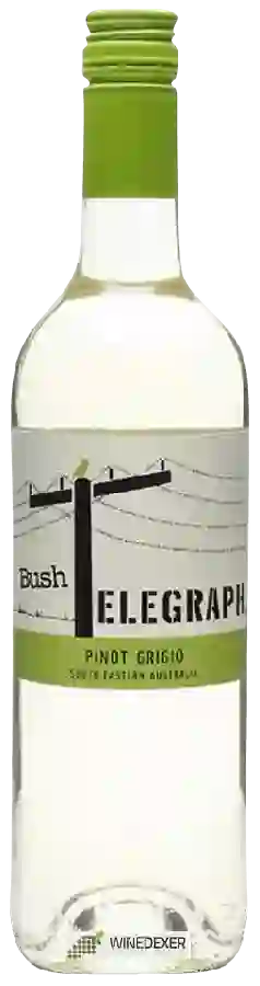 Weingut Bush Telegraph - Pinot Grigio
