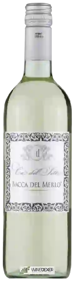 Weingut Ca' del Sette - Bacca del Merlo Weingut Ca' del Sette - Bacca del Merlo