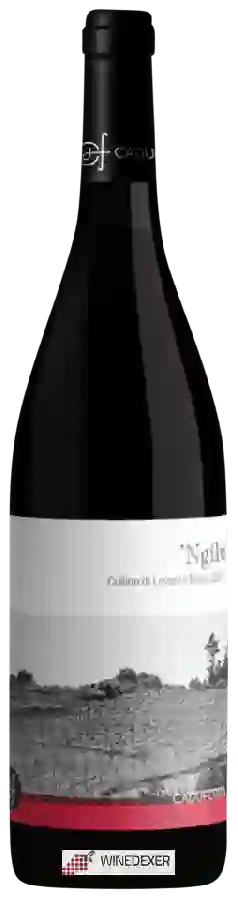 Weingut Cà du Ferrà - Ngilù Rosso Weingut Cà du Ferrà - Ngilù Rosso