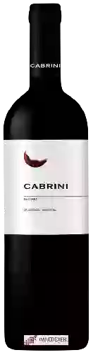 Weingut Cabrini - Malbec