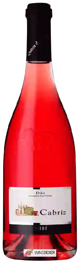 Weingut Cabriz - Dão Rosé Weingut Cabriz - Dão Rosé