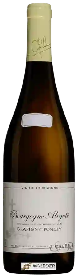 Weingut Jacques Cacheux - Glapigny - Poncey Bourgogne Aligoté Weingut Jacques Cacheux - Glapigny - Poncey Bourgogne Aligoté