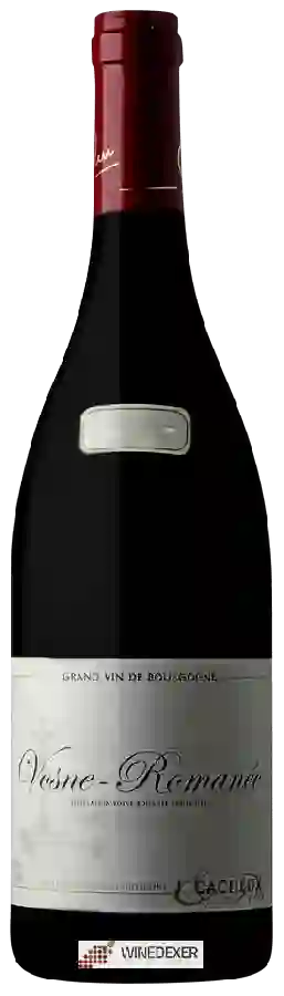 Weingut Jacques Cacheux - Vosne-Romanée