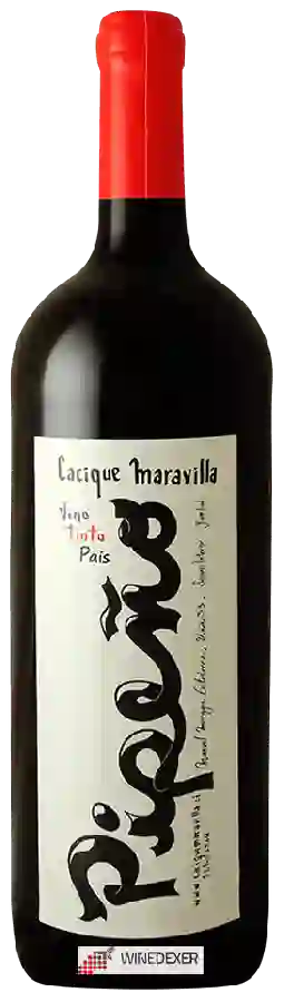 Weingut Cacique Maravilla - Secano Interior Pipeño Weingut Cacique Maravilla - Secano Interior Pipeño