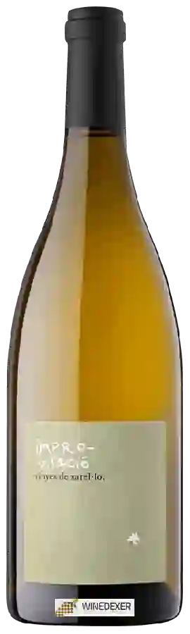 Weingut Enric Soler - Impro-Visació Vinyes de Xarel-lo