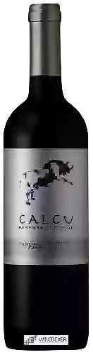 Weingut Calcu - Cabernet Franc (Reserva Especial)