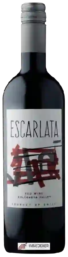Weingut Calcu - Escarlata Red