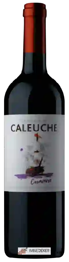 Weingut Caleuche - Carmenère Weingut Caleuche - Carmenère