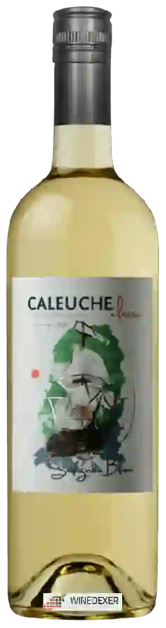 Weingut Caleuche - Classic Sauvignon Blanc