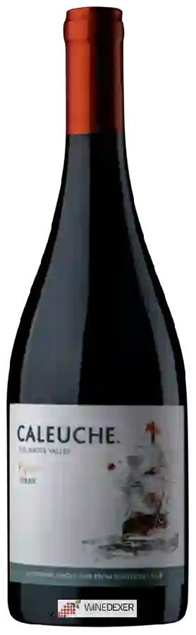 Weingut Caleuche - Reserve Syrah Weingut Caleuche - Reserve Syrah