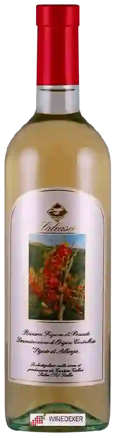 Weingut Calleri - Saleasco Pigato di Albenga Weingut Calleri - Saleasco Pigato di Albenga